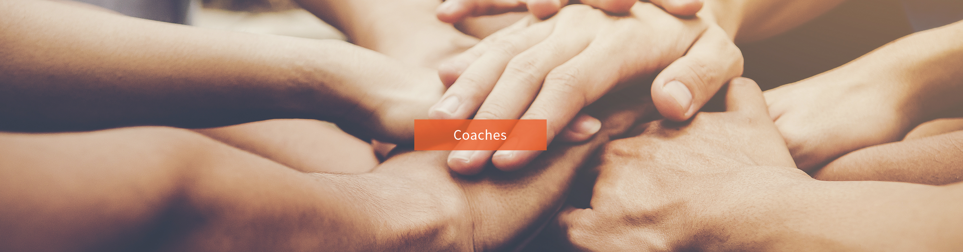 Ful Court Hopps Coaches